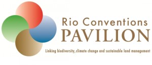 Rio Conventions Pavilion Project Page & CEIM Press Release feature